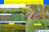 Potential for Oilseed Crops in the Southeast David Wright, J. Marois, S. George, R. Seepaul, C. Bliss Carinata Canola Camelina.