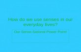 How do we use senses in our everyday lives? Our Sense-Sational Power Point!