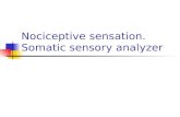 Nociceptive sensation. Somatic sensory analyzer. Nociceptors (Free nerve ending) Mechanical nociceptors: activated by strong stimuli such as pinch, and.