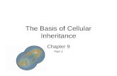 The Basis of Cellular Inheritance Chapter 9 Part 1.