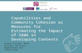 Capabilities and Community Cohesion as Measures for Estimating the Impact of VAWG in Developing Contexts Stacey Scriver, Nata Duvvury, Srinivas Raghavendra.