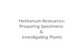 Herbarium Resources: Preparing Specimens & Investigating Plants.