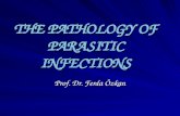 THE PATHOLOGY OF PARASITIC INFECTIONS Prof. Dr. Ferda Özkan.