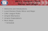 Welcome and Introductions Local Division Rules Minor and Major Little League Rules Umpire Mechanics Umpire Expectations Next Steps Schedule WCLL Umpire.
