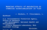 Modeled effects of metabolism on chemical bioaccumulation in fish J. Nichols, P. Fitzsimmons, L. Burkhard U.S. Environmental Protection Agency, Office.