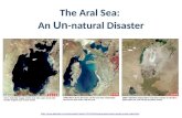 The Aral Sea: An Un -natural Disaster .