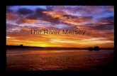 The River Mersey Matthew Gardner. Features 70 miles long (113 km) 3 miles at widest point (5 km) Source Stockport Tributaries River Tame, River Goyt,