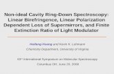 Non-ideal Cavity Ring-Down Spectroscopy: Linear Birefringence, Linear Polarization Dependent Loss of Supermirrors, and Finite Extinction Ratio of Light.