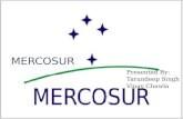 MERCOSUR Presented By: Tarundeep Singh Vinay Chawla.