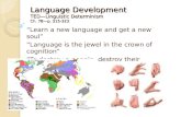Language Development TED—Linguistic Determinism Ch. 7B—p. 315-323 TED—Linguistic Determinism TED—Linguistic Determinism “Learn a new language and get a.