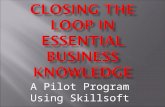 A Pilot Program Using Skillsoft. Goal: Demonstrate an understanding of the major functional areas of Business. Learning Outcomes:  Describe basic concepts.
