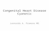 Congenital Heart Disease Cyanotic Leonardo A. Pramono MD.
