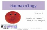 Phase 2 Jamie McConnell and Erin Whyte The Peer Teaching Society is not liable for false or misleading information… Haematology.