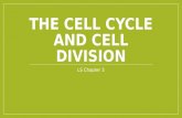 THE CELL CYCLE AND CELL DIVISION LS Chapter 3. The Cell Cycle Every organism begins as a single cell In animals, including humans: sperm fertilizes egg.