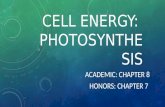 CELL ENERGY: PHOTOSYNTHE SIS ACADEMIC: CHAPTER 8 HONORS: CHAPTER 7.