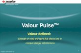 Copyright, © 2006, eePulse, Inc. the measure of your success 1 Valour Pulse™ Valour defined: Strength of mind and spirit that allows one to conquer danger.