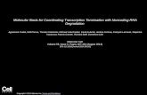 Molecular Basis for Coordinating Transcription Termination with Noncoding RNA Degradation Agnieszka Tudek, Odil Porrua, Tomasz Kabzinski, Michael Lidschreiber,
