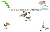 Five Groups of Animals Two Kinds of Things on Earth.