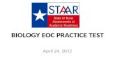 BIOLOGY EOC PRACTICE TEST April 24, 2012. Yes, yes it is.
