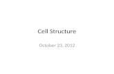 Cell Structure October 23, 2012. Common Cell Structures Outer covering called cell membrane and internal gelatinlike cytoplasm 1. comparing cells- size.