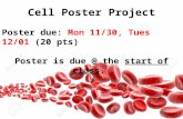 Cell Poster Project Poster due: Mon 11/30, Tues 12/01 (20 pts) Poster is due @ the start of class.