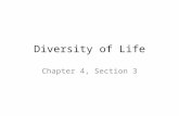 Diversity of Life Chapter 4, Section 3. Evolution overview All life on earth began about 3.5 billion years ago with organisms that were a single cell.