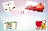 חגי תשרי Tishrei Holidays ראש השנה Rosh Hashana יום הכיפורים Yom Hakipoorim סוכותSukkot.