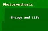 Photosynthesis Energy and Life. When do living things need energy? § Just about every activity we do requires energy!! § Energy is needed to sustain life.