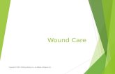 Wound Care Copyright © 2007, 2003 by Mosby, Inc., an affiliate of Elsevier Inc.