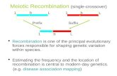 Meiotic Recombination (single-crossover) PrefixSuffix  Recombination is one of the principal evolutionary forces responsible for shaping genetic variation.