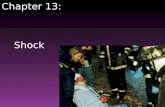Shock Chapter 13:. Defining Shock Shock is best defined as inadequate tissue perfusion Can result from a variety of disease states and injuries Can affect.