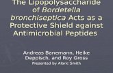 The Lipopolysaccharide of Bordetella bronchiseptica Acts as a Protective Shield against Antimicrobial Peptides Andreas Banemann, Heike Deppisch, and Roy.