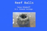 Tanya Ribakoff B.S. Eckerd College Reef Balls. Half circle shaped concrete balls with different size holes throughout Set on seafloor Submerged at high.