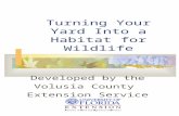 Turning Your Yard Into a Habitat for Wildlife Developed by the Volusia County Extension Service.