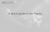A quick guide to Six Sigma. Objectives Gain a high-level understanding of Six Sigma Learn the basic vocabulary of Six Sigma Understand the roles and responsibilities.