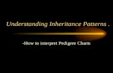 Understanding Inheritance Patterns. -How to interpret Pedigree Charts.