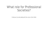 What role for Professional Societies? Professor Cornelia Boldyreff, the chair of the OSSG.