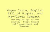 Magna Carta, English Bill of Rights, and Mayflower Compact The beginnings of our country. Steps toward self government and freedom.