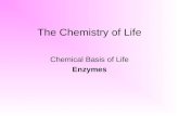The Chemistry of Life Chemical Basis of Life Enzymes.