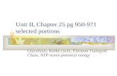Unit II, Chapter 25 pg 950-971 selected portions Glycolysis, Krebs cycle, Electron Transport Chain, ATP stores potential energy.