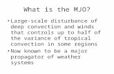 What is the MJO? Large-scale disturbance of deep convection and winds that controls up to half of the variance of tropical convection in some regions Now.