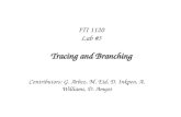 ITI 1120 Lab #3 Tracing and Branching Contributors: G. Arbez, M. Eid, D. Inkpen, A. Williams, D. Amyot.