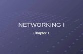 NETWORKING I Chapter 1. Computer Networks Intranet / Extranet Intranets, private networks in use by just one company, enable businesses to communicate.