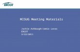 MISUG Meeting Materials Jackie Ashbaugh/Jamie Lavas ERCOT 2/22/2011.