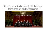The Federal Judiciary, Civil Liberties, Immigration and Citizenship.
