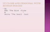 By Bob “The Bird” Fiske & Anita “The Snail” Cost.