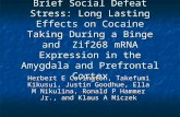 Brief Social Defeat Stress: Long Lasting Effects on Cocaine Taking During a Binge and Zif268 mRNA Expression in the Amygdala and Prefrontal Cortex Herbert.