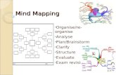 Mind Mapping Organise/re-organise Analyse Plan/Brainstorm Clarify Structure Evaluate Exam revision.
