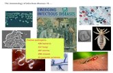 How do we stay healthy? – Microbes and Immunity. Part 1.  Human pathogens: 538 bacteria 317 fungi 287 worms 208 viruses 57 parasitic.