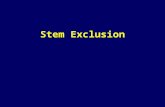 Stem Exclusion. Objectives 1.Understand the patterns and processes within the stem exclusion stage 2.Understand when processes of crown closure and self-thinning.